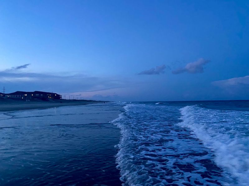 This Outer Banks Village Was Just Named America's Best Place To Spot Wild Dolphins - Decor Hint The Best Moments Still Depend On Tide, Weather, And Luck