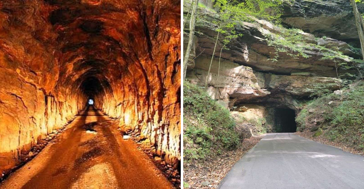 Locals Say A Ghostly Green Light Haunts This Eerie One Lane Kentucky Tunnel - Decor Hint