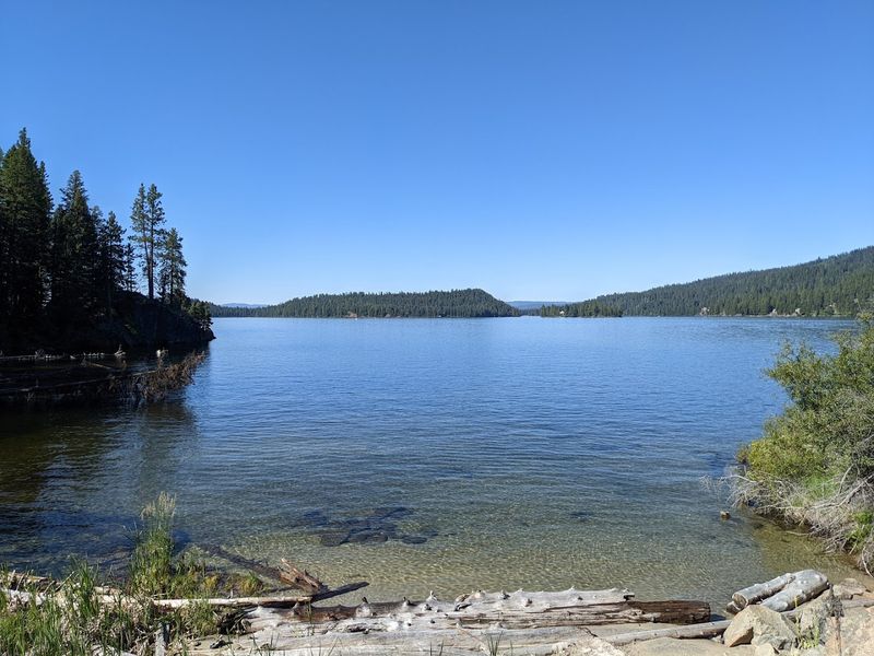 McCall