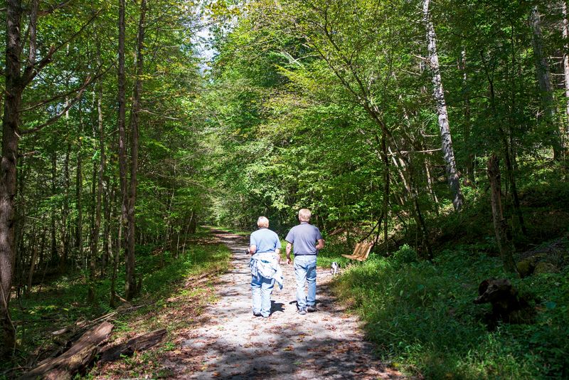 Honeymoon Falls Trail, Pine Mountain State Resort Park