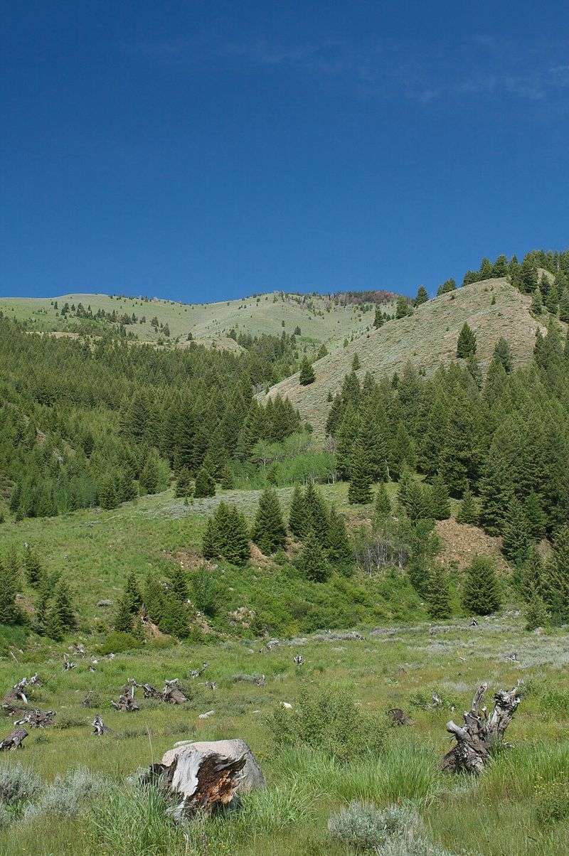 Let The Valley Views Turn Wildlife Watching Into A Scenic Detour