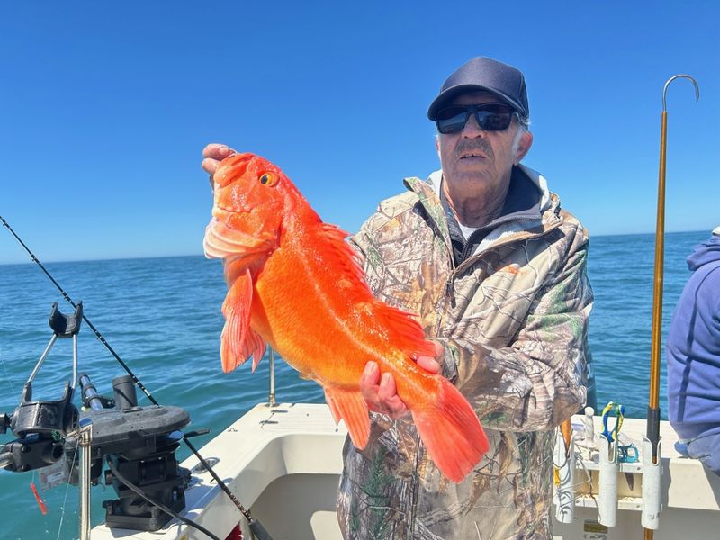 Try A Local Fishing Charter