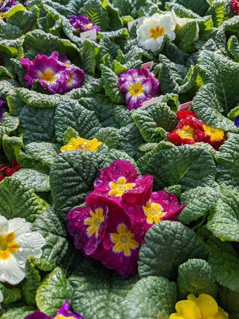 Save Time For The Outdoor Growing Areas