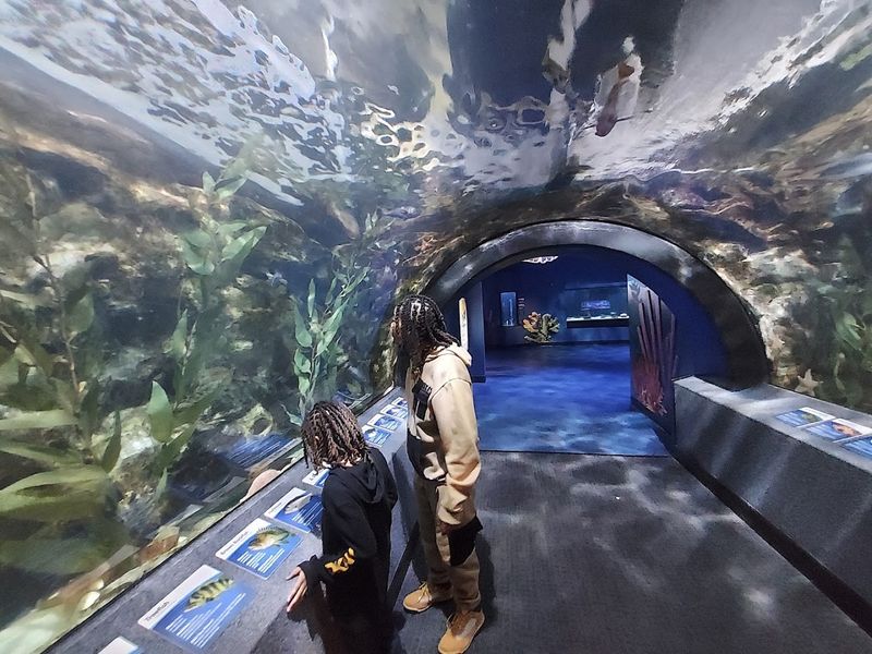 Newport Aquarium