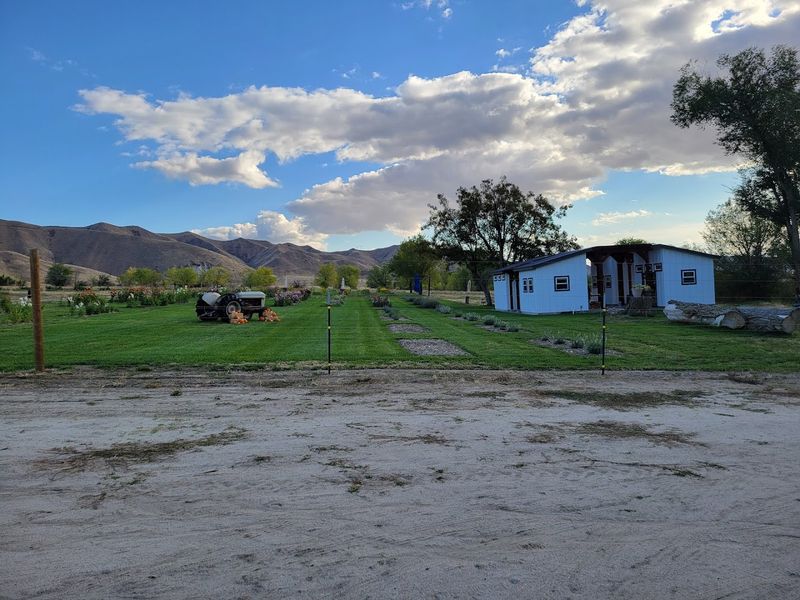 The Farm In Emmett