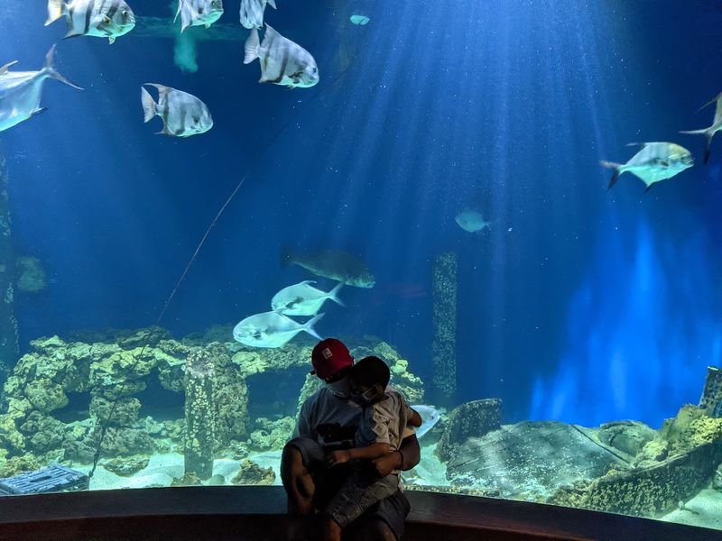 Virginia Living Museum, Newport News