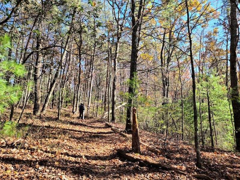 The 5,844-Acre Georgia State Park That So Many People Haven't Discovered - Decor Hint Guided Tours And Programs That Go Beyond The Trail Map
