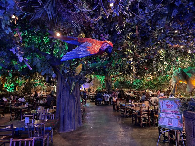 Use Rainforest Cafe For Maximum Mall Nostalgia