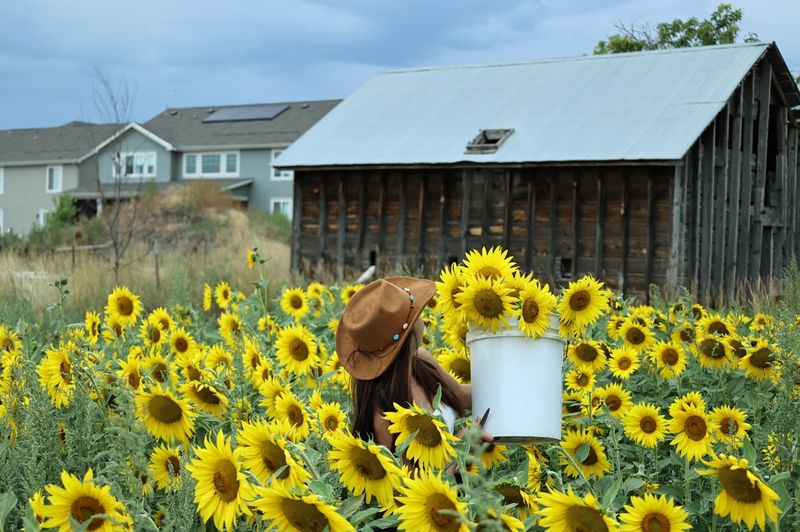 Why This Farm Deserves Your Repeat Visit