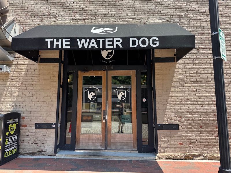 10 Virginia Dog-Friendly Restaurants That Go Beyond The Basics - Decor Hint The Water Dog, Lynchburg