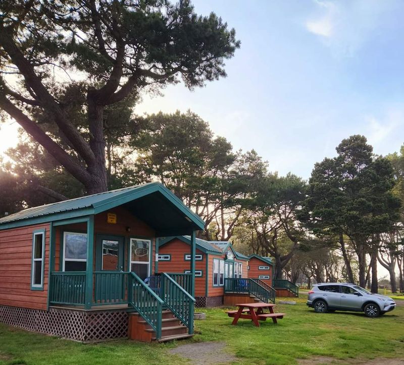 These 11 Mendocino Coast Campgrounds Are California's Best Places To Wake Up By The Pacific - Decor Hint Manchester Beach/Mendocino Coast KOA Journey, Manchester