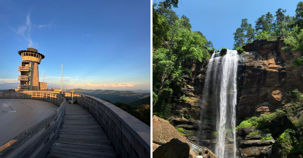 Many People Live Their Whole Lives In Georgia Without Visiting These 13 Incredible Places - Decor Hint