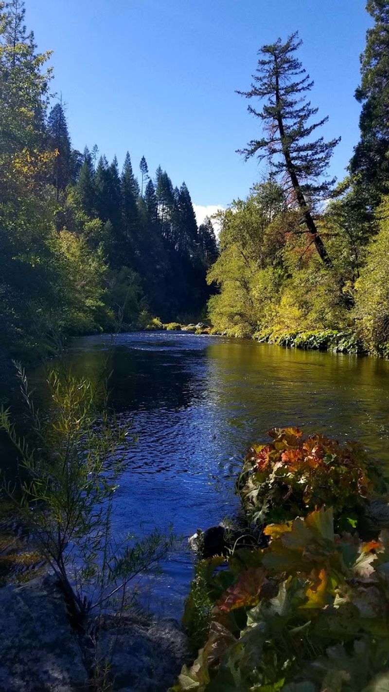Dunsmuir, Siskiyou County