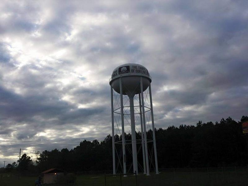 9 Georgia Towns Experiencing Long-Term Population Changes - Decor Hint Vienna