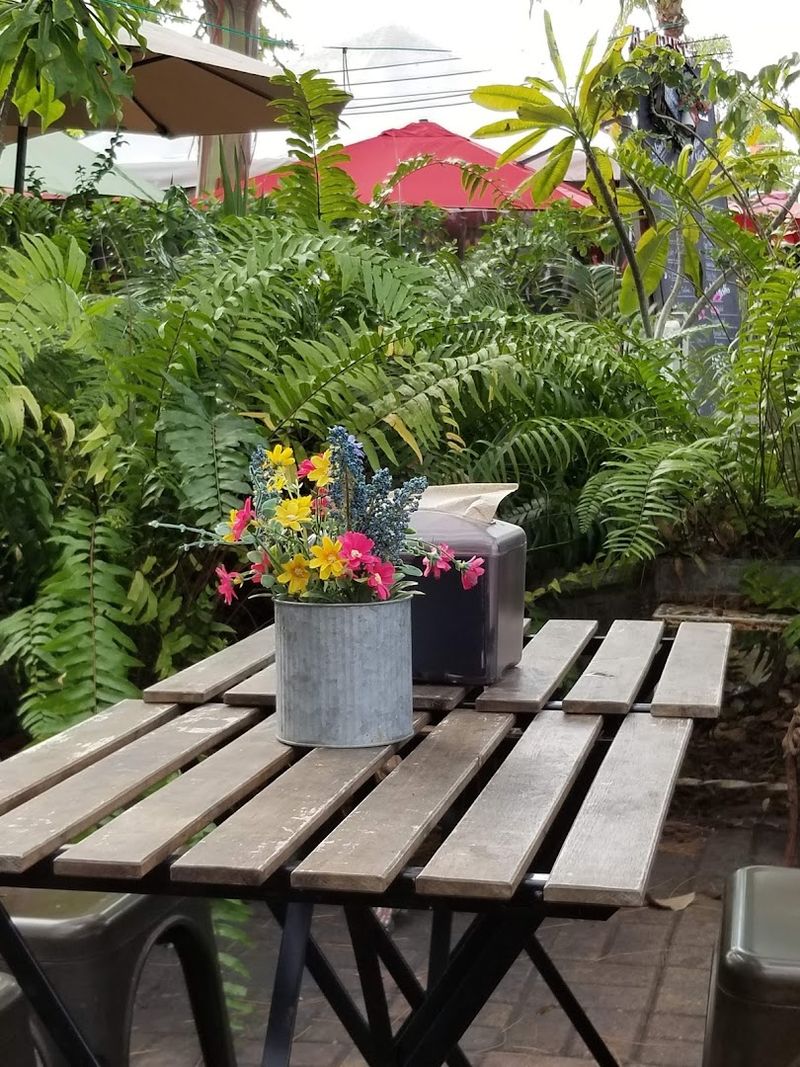 Dog Friendly And People Friendly Too