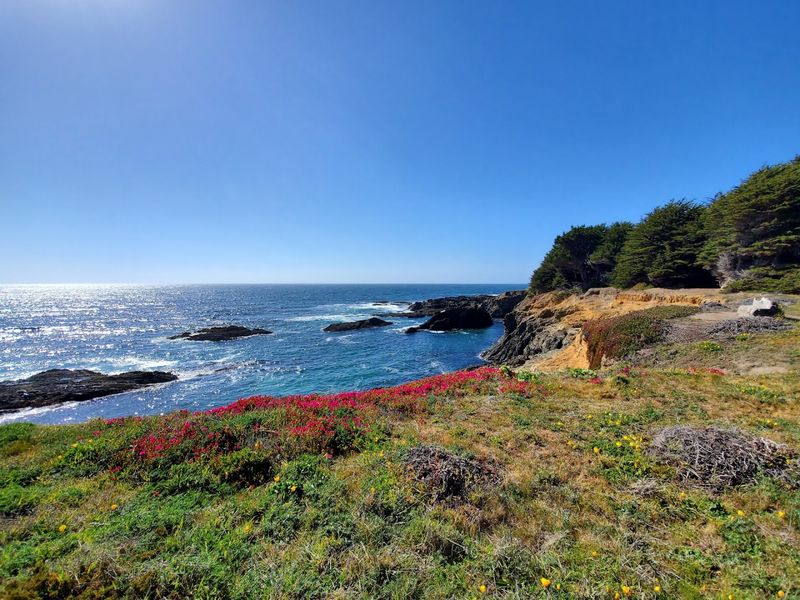 These 11 Mendocino Coast Campgrounds Are California's Best Places To Wake Up By The Pacific - Decor Hint Van Damme State Park, Little River