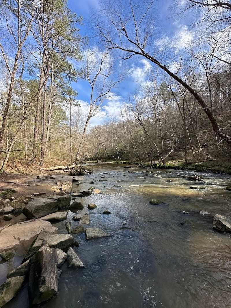 Crabtree Creek And The Water You Did Not Expect