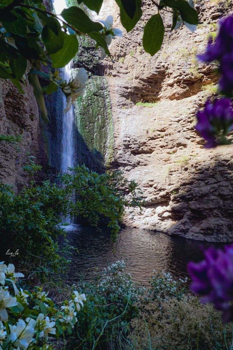 Jump Creek Falls, Southwest Of Marsing