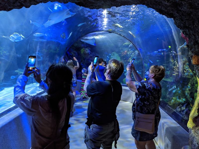 Virginia Aquarium & Marine Science Center, Virginia Beach