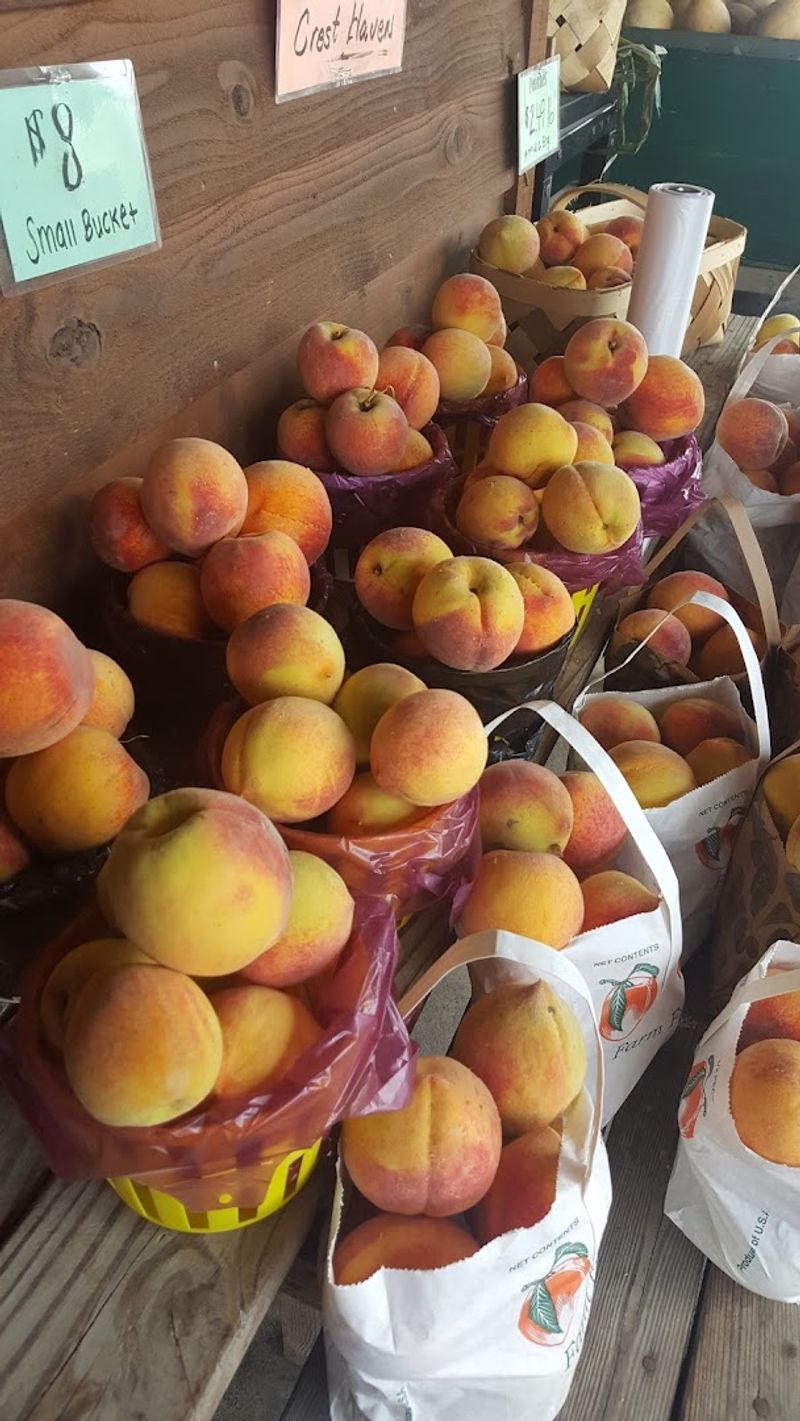Peaches N' Cream
