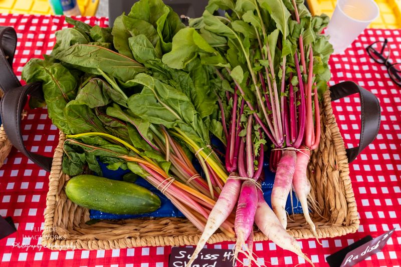The Nashua Farmers Market