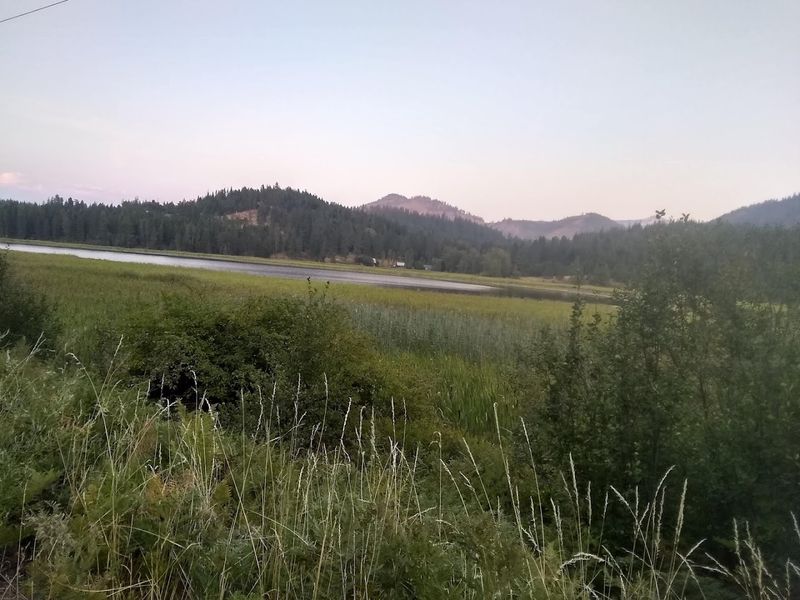 Coal Creek Trail No. 41