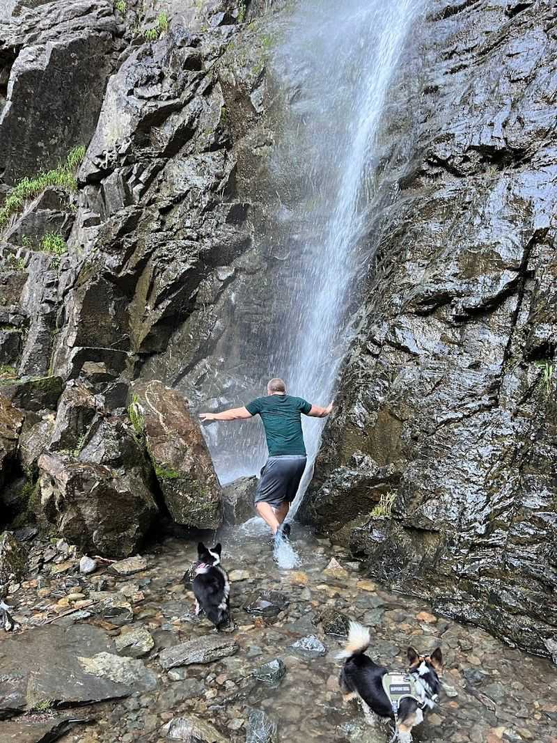 Copper Falls Trail, Near Bonners Ferry