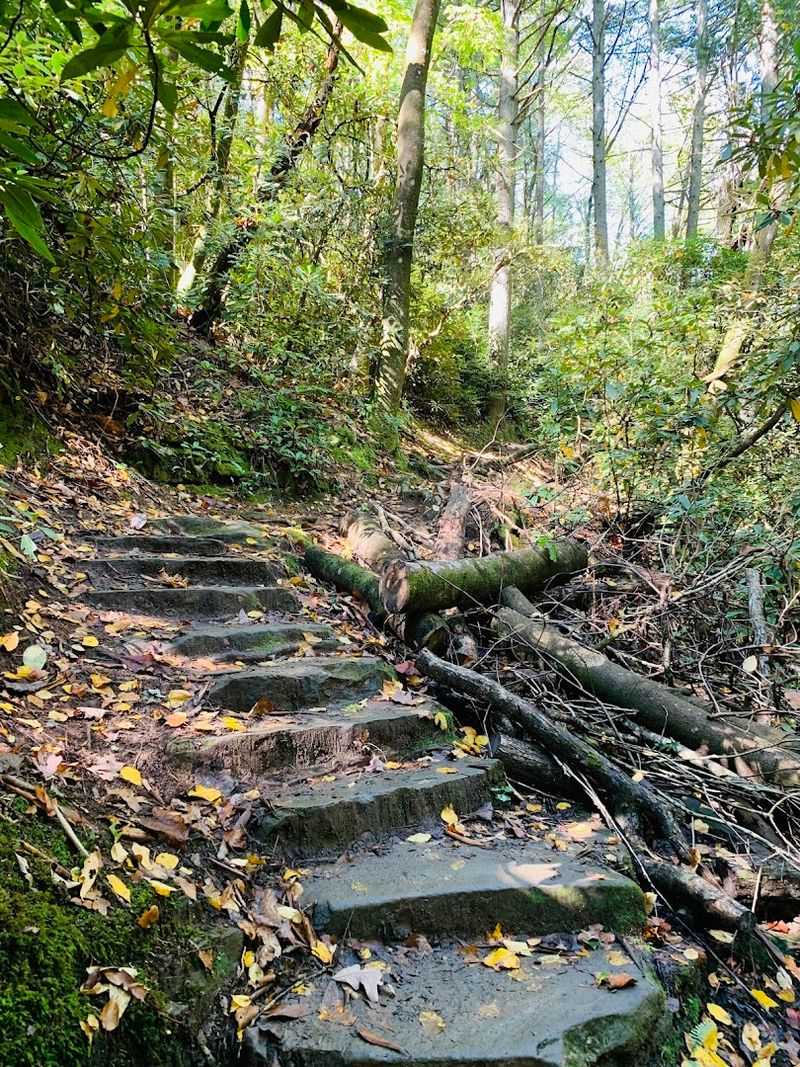 Angel Falls Trail, Rabun Beach, Lakemont