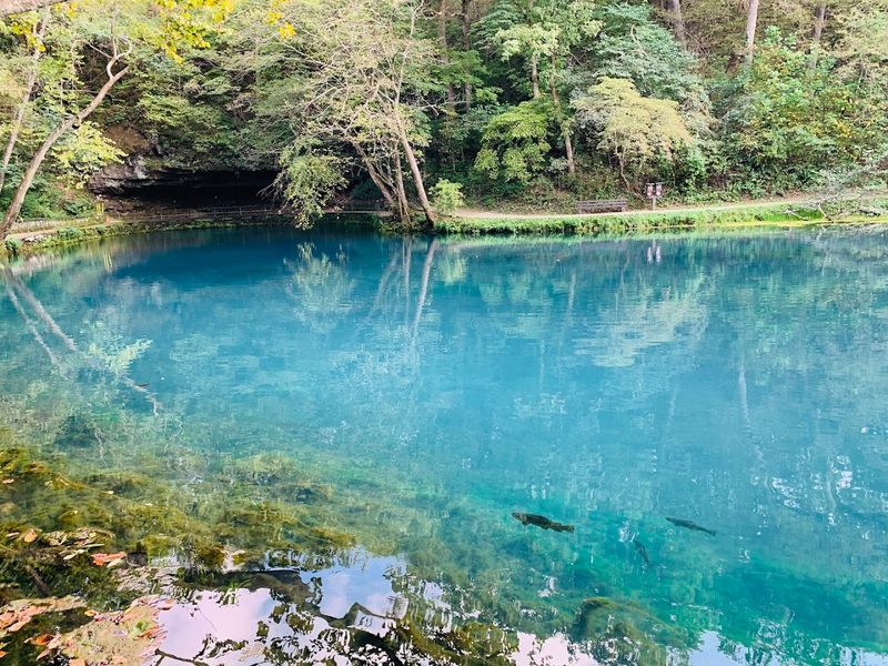 The Spring That Started It All