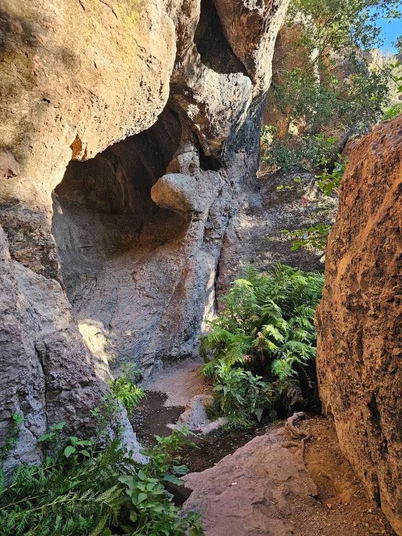 Pinnacles National Park, San Benito County