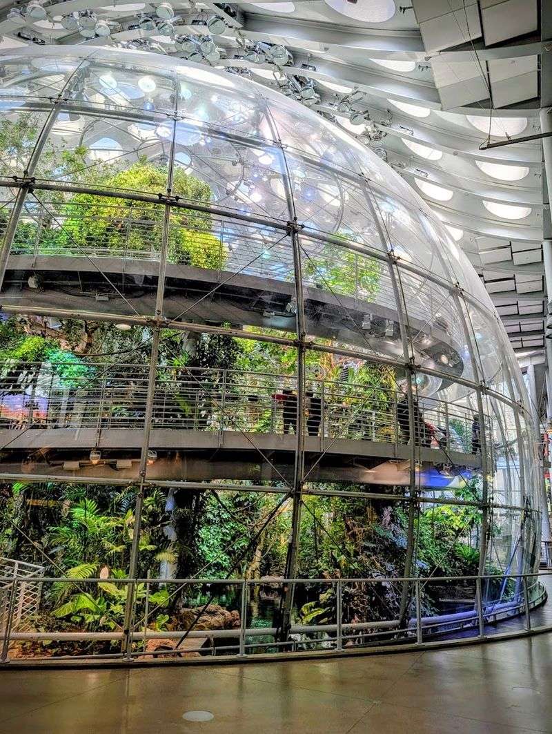 11 California Places Where You Can Turn A Hot Summer Day Into A Surprisingly Cool Outing - Decor Hint California Academy of Sciences, San Francisco
