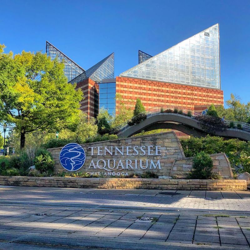 Tennessee Aquarium, Chattanooga