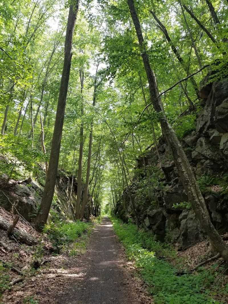 Larkin State Park Trail