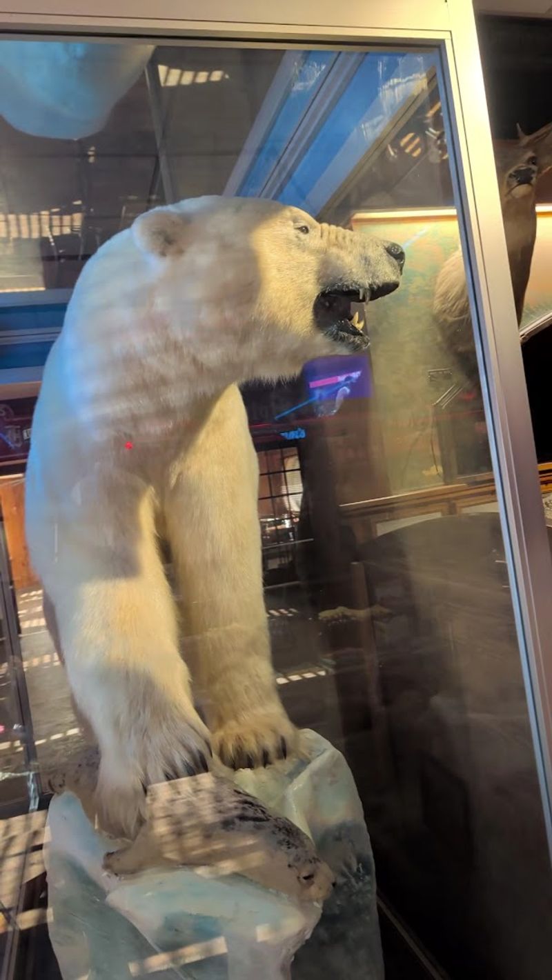 A Towering Polar Bear Commands Immediate Attention