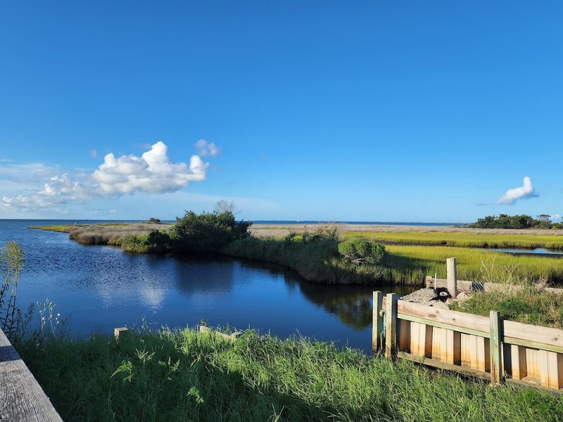 This Outer Banks Village Was Just Named America's Best Place To Spot Wild Dolphins - Decor Hint Pamlico Sound Adds A Calmer Side To The Search