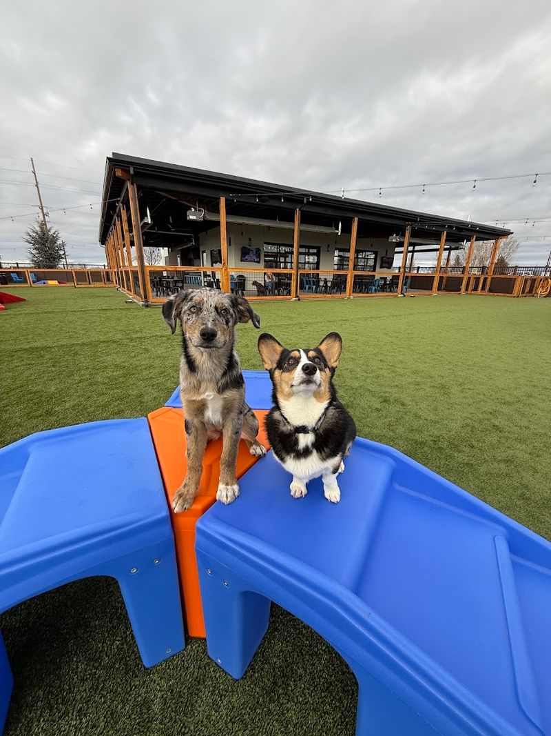 Idaho Pups & Ales, Meridian