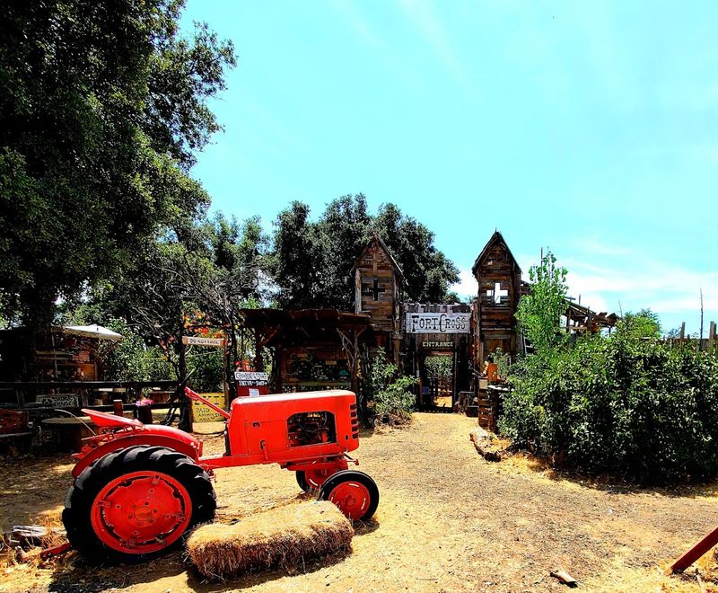 Staying Overnight Reveals A Slower Side Of Town