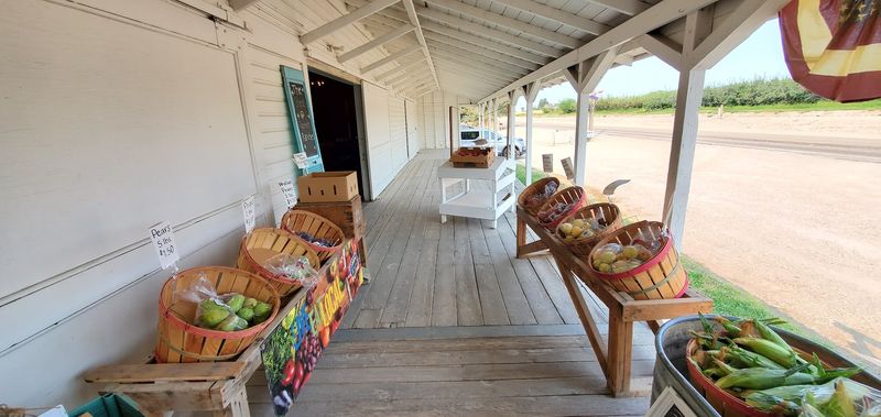 These Idaho Farms Grow The Kind Of Tomatoes Grocery Stores Cannot Compete With - Decor Hint The Shed At Garrett Ranches
