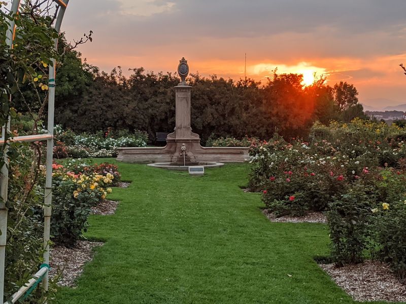There Is A Beautiful Rose Garden In Colorado Most People Don't Know About - Decor Hint Open Every Hour, Every Day