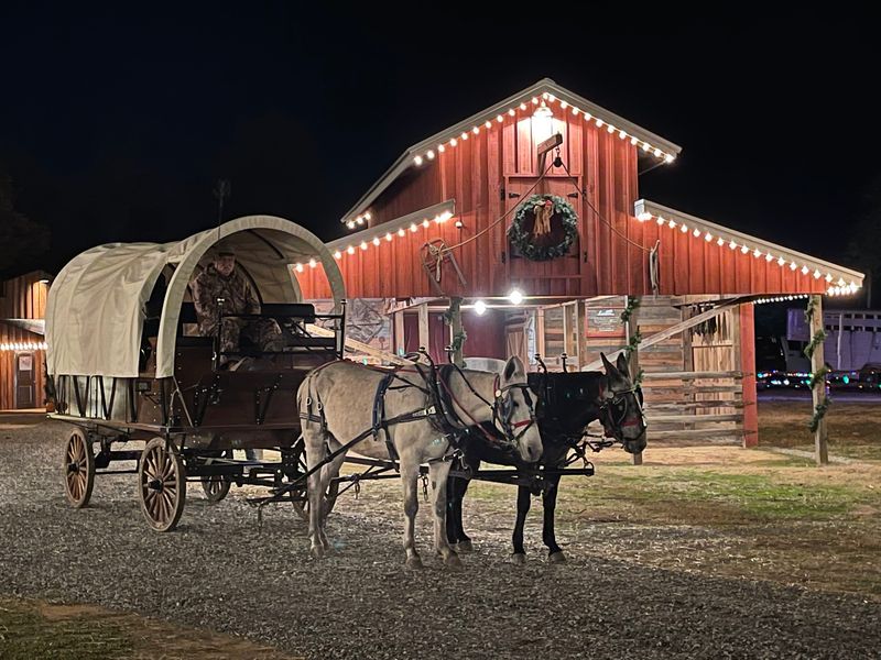 Wild West Days And The Events That Bring History Alive