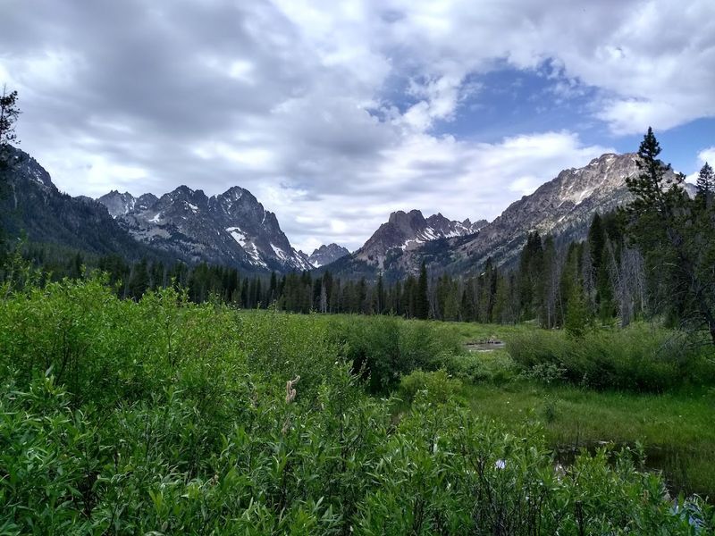 Fishhook Creek Trail