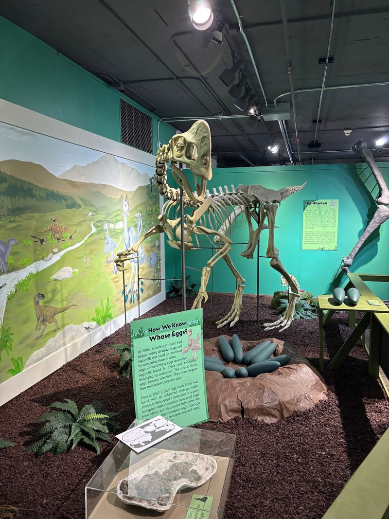 Idaho Museum Of Natural History, Pocatello