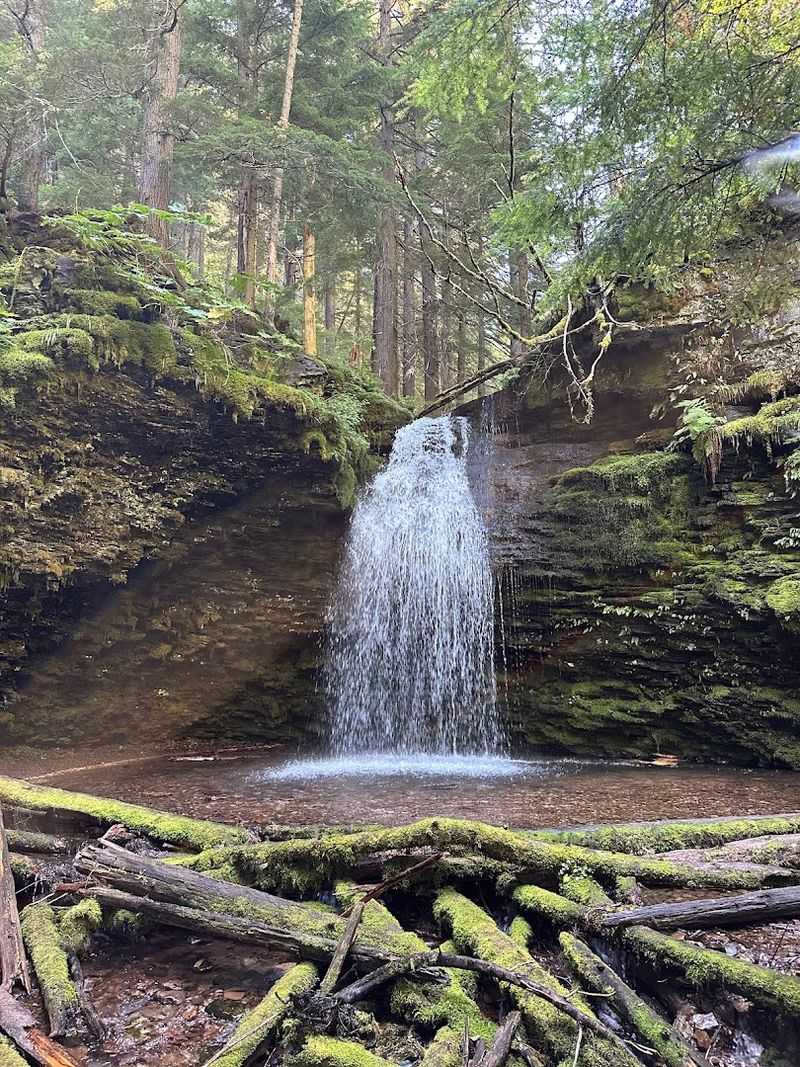 These 10 Idaho Waterfall Hikes Under Two Miles That Deliver Big Canyon Drama Fast - Decor Hint Shadow Fern Falls Trail
