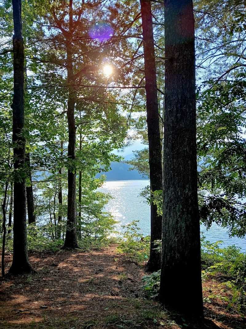 Locals Say This Once-Peaceful North Carolina Lake Town Has Been Completely Overrun By Crowds - Decor Hint The Forested Shoreline Still Protects Some Calm