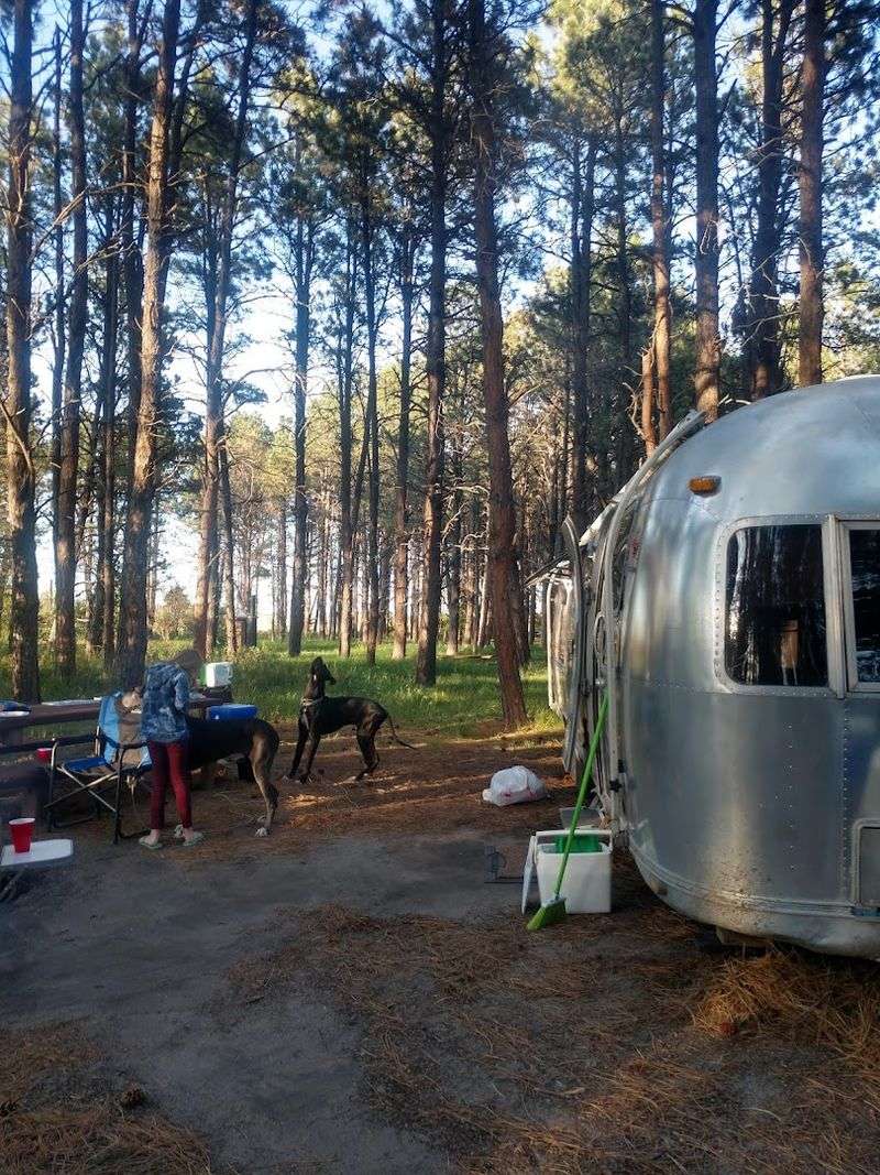 Steer Creek Campground, near Nenzel