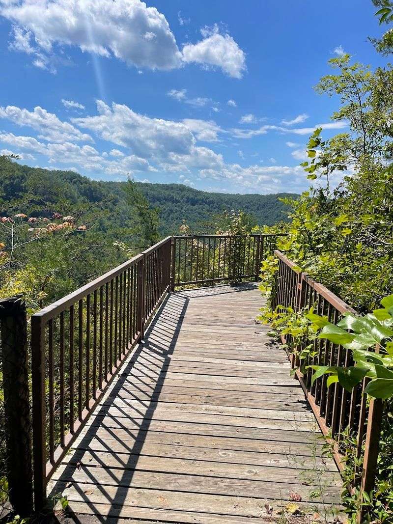 Devil's Jump Overlook At Blue Heron