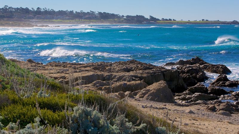 Asilomar State Beach, Pacific Grove
