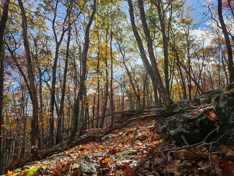 A Hidden Outdoor Gem
