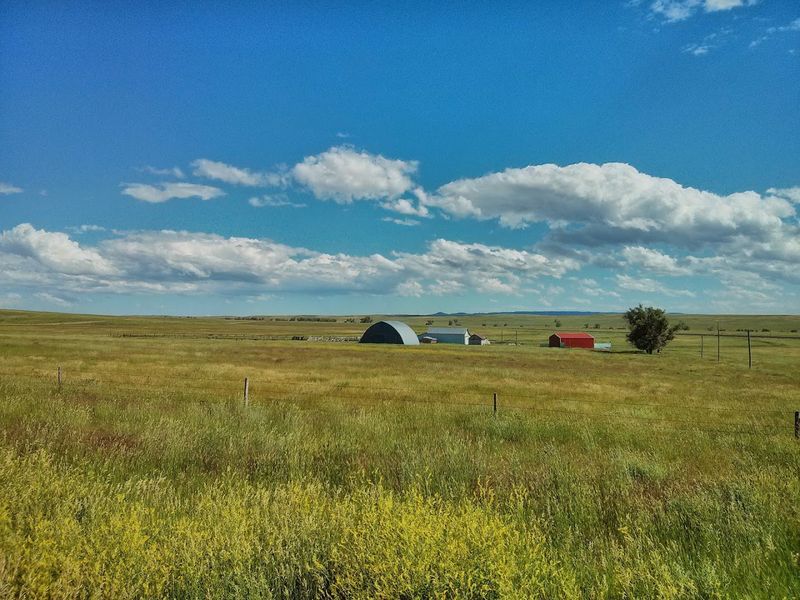 Nebraska's 10 Best Places To Hunt For Agates, Fossils, Petrified Wood, And Other Natural Treasures - Decor Hint Oglala National Grassland, Dawes and Sioux Counties