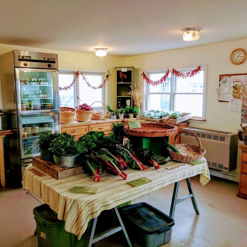 9 Connecticut Cooking Classes You'll Want To Take At Least Once - Decor Hint White Gate Farm, East Lyme
